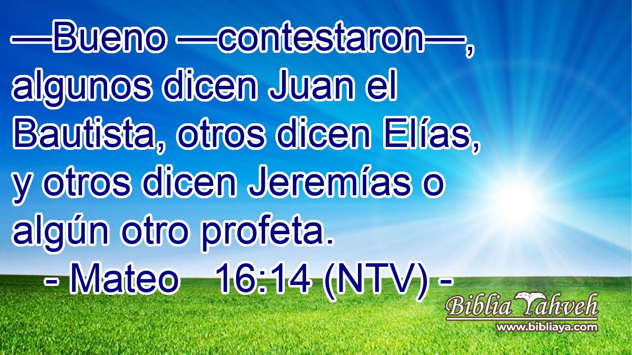 —Bueno —contestaron—, algunos dicen Juan el Bautista, otros dicen Elías, y otros dicen Jeremías o algún otro profeta.