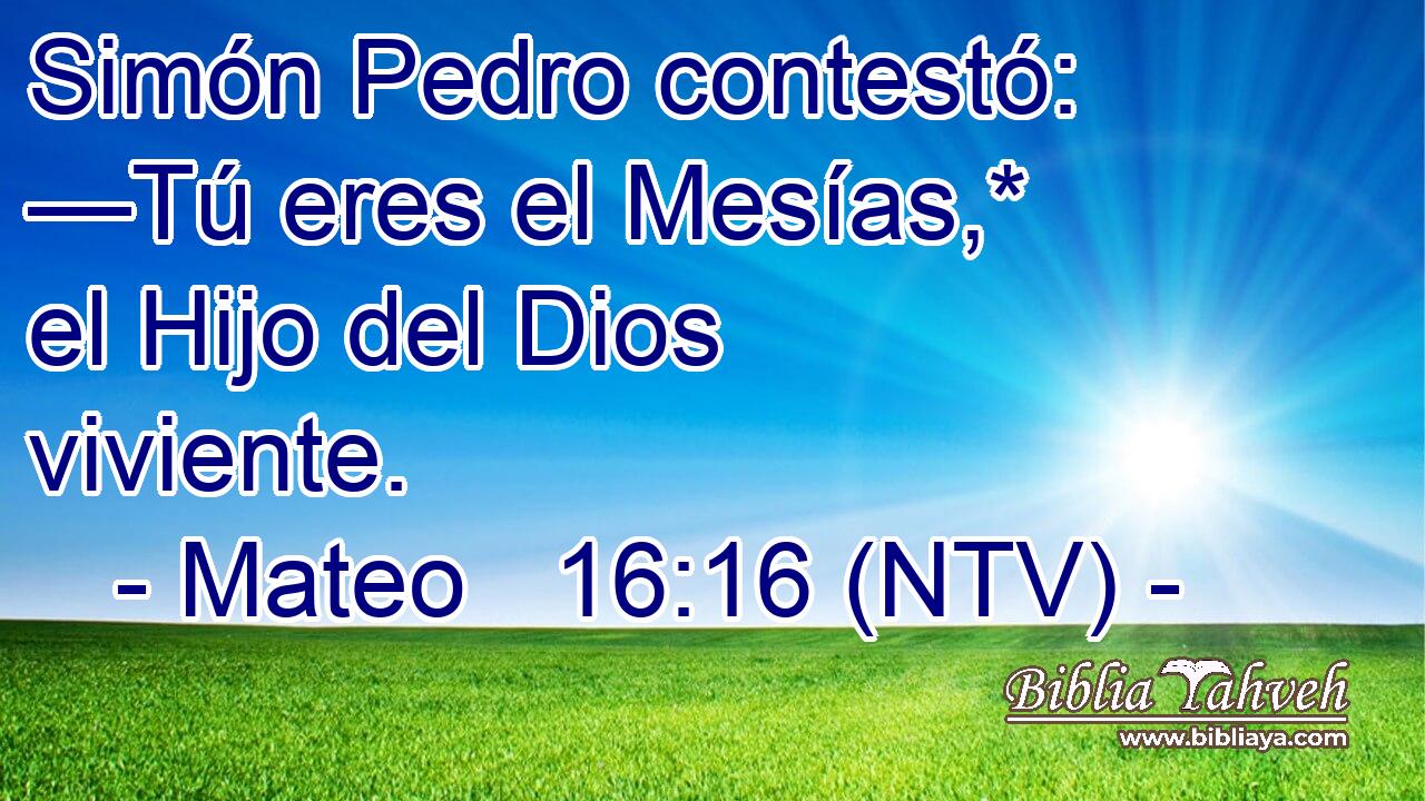 Simón Pedro contestó: —Tú eres el Mesías,* el Hijo del Dios viviente.