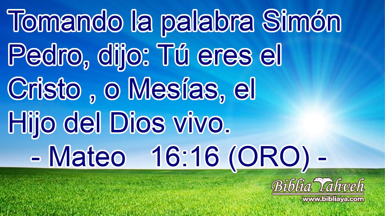  Tomando la palabra Simón Pedro, dijo: Tú eres el Cristo , o Mesías, el Hijo del Dios vivo. 