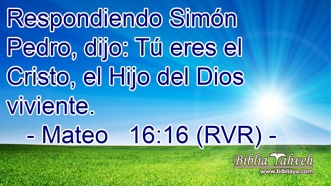Respondiendo Simón Pedro, dijo: Tú eres el Cristo, el Hijo del Dios viviente.