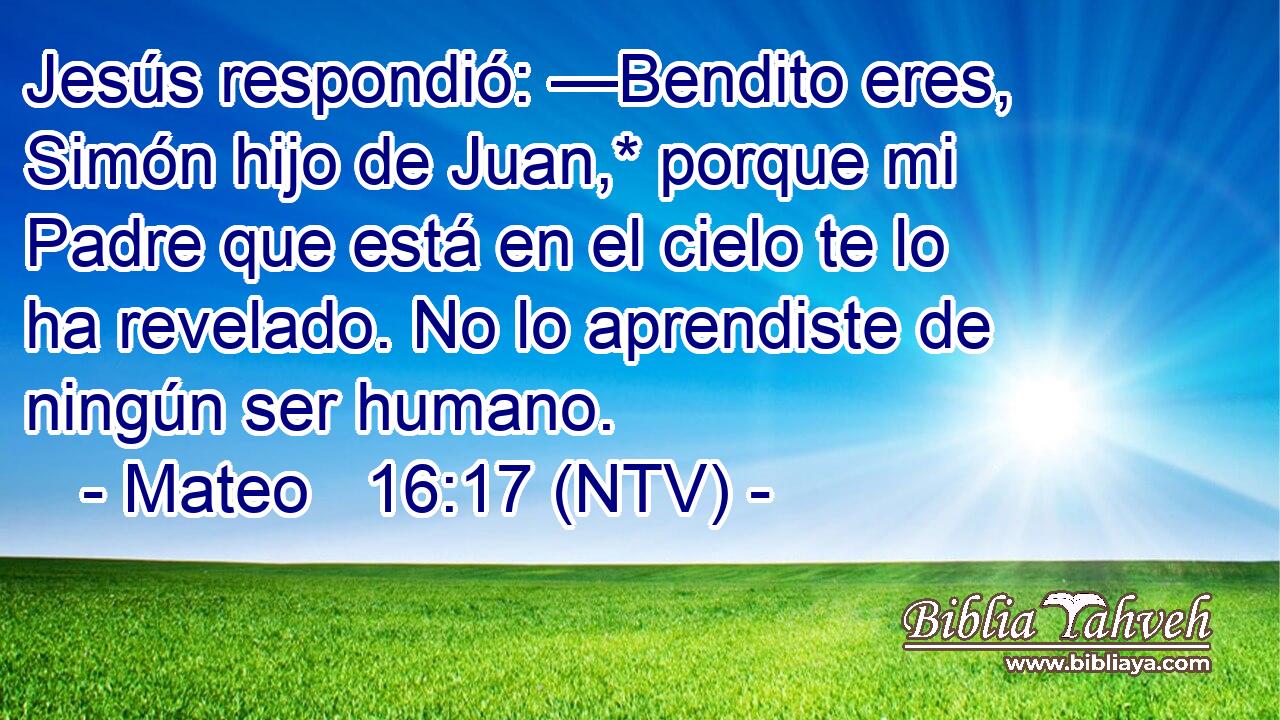 Jesús respondió: —Bendito eres, Simón hijo de Juan,* porque mi Padre que está en el cielo te lo ha revelado. No lo aprendiste de ningún ser humano.