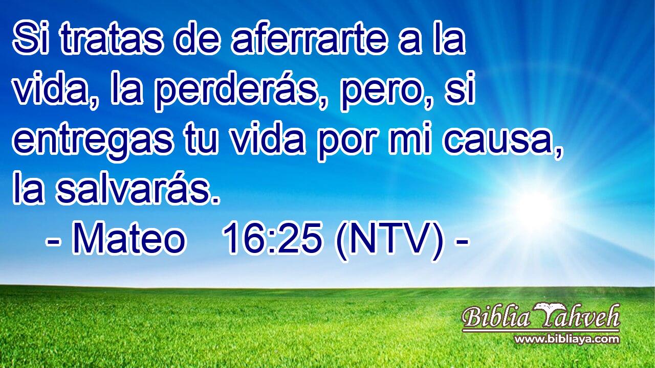 Si tratas de aferrarte a la vida, la perderás, pero, si entregas tu vida por mi causa, la salvarás.