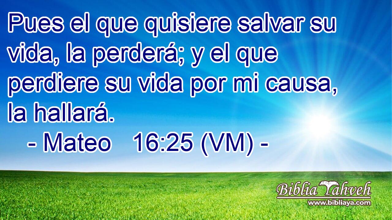  Pues el que quisiere salvar su vida, la perderá; y el que perdiere su vida por mi causa, la hallará. 