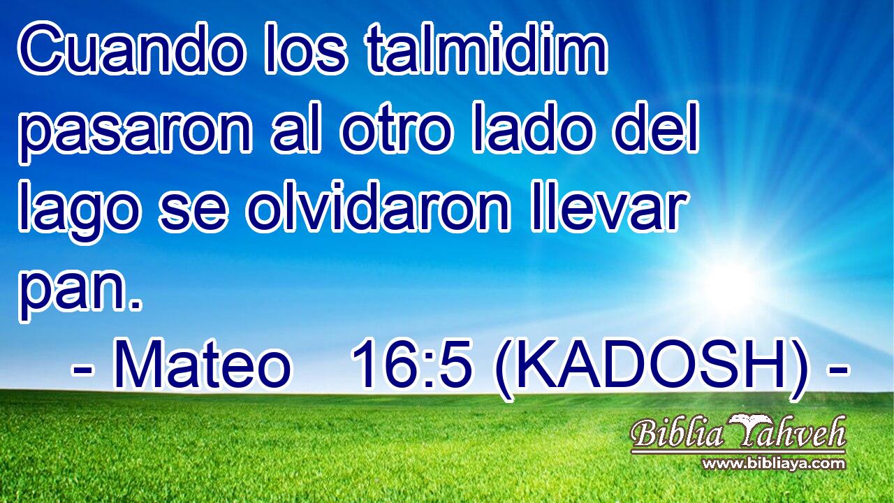  Cuando los talmidim pasaron al otro lado del lago se olvidaron llevar pan. 