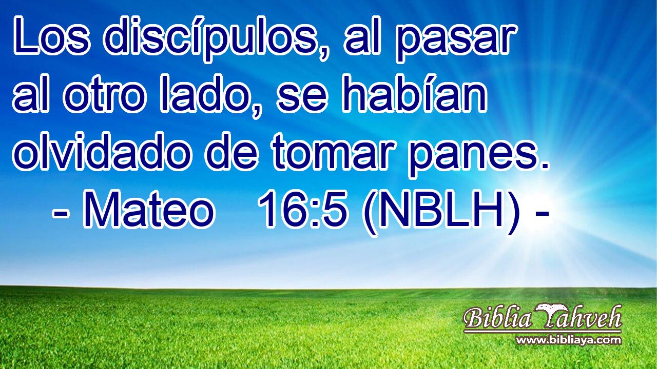  Los discípulos, al pasar al otro lado, se habían olvidado de tomar panes. 