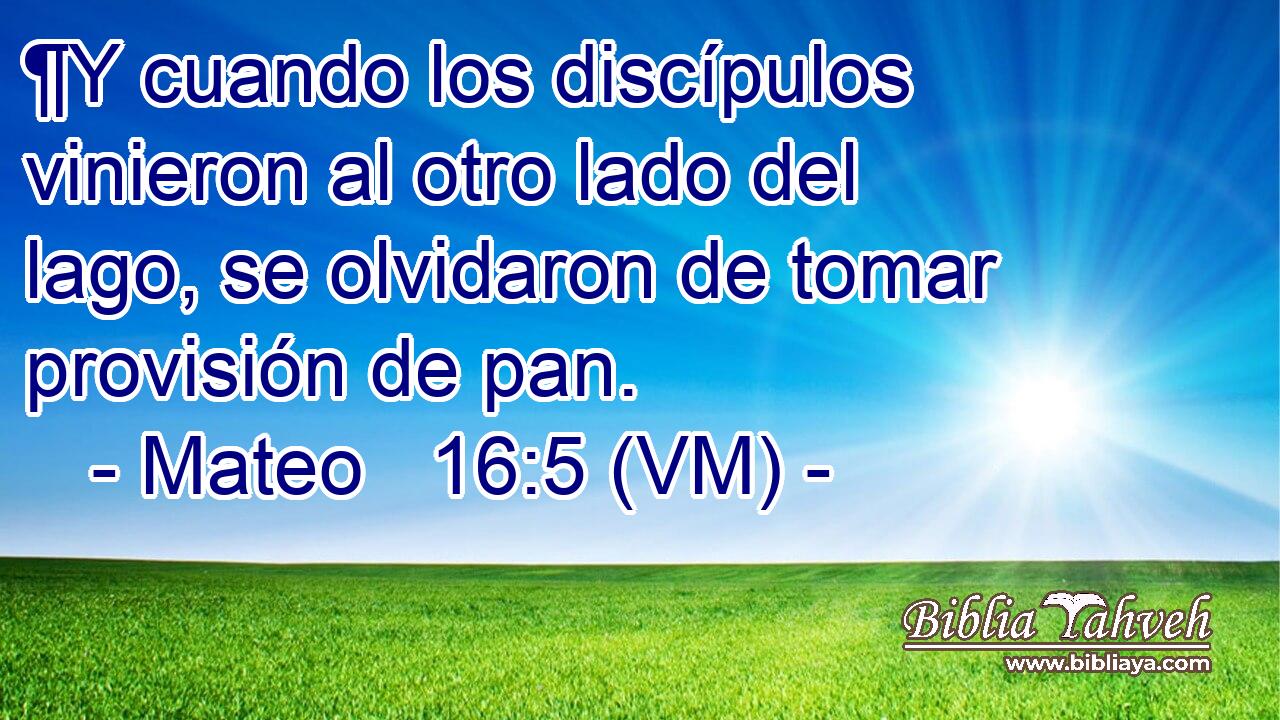  ¶Y cuando los discípulos vinieron al otro lado del lago, se olvidaron de tomar provisión de pan. 
