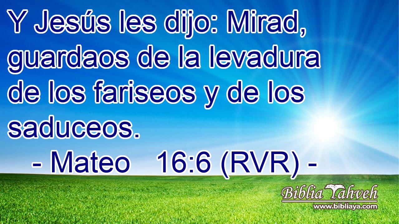 Y Jesús les dijo: Mirad, guardaos de la levadura de los fariseos y de los saduceos.