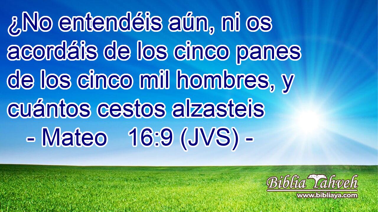 ¿No entendéis aún, ni os acordáis de los cinco panes de los cinco mil hombres, y cuántos cestos alzasteis