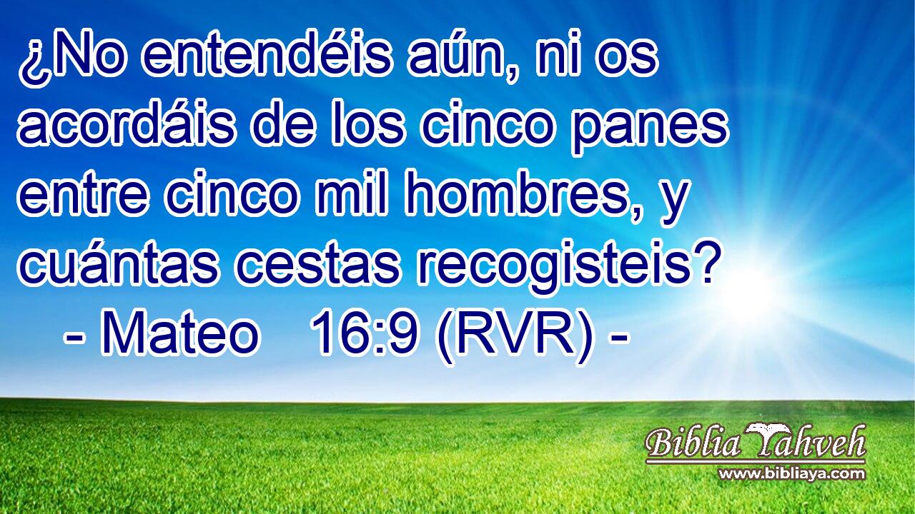¿No entendéis aún, ni os acordáis de los cinco panes entre cinco mil hombres, y cuántas cestas recogisteis?