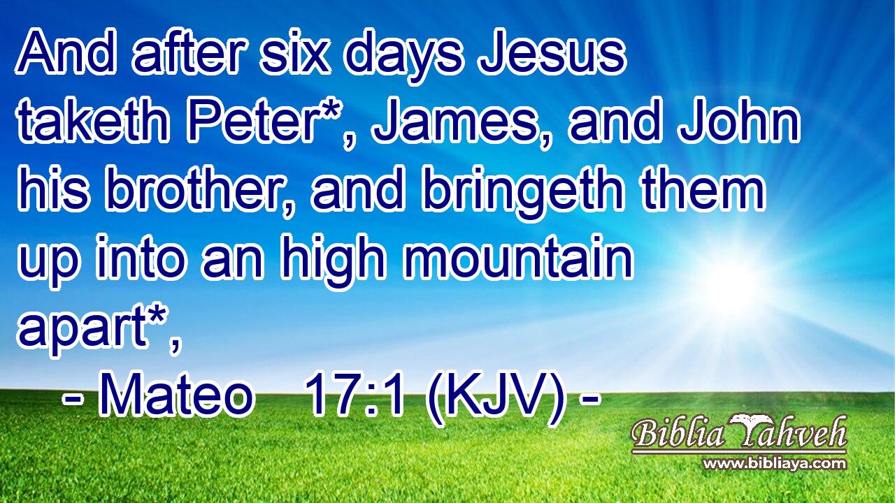 And after six days Jesus taketh Peter*, James, and John his brother, and bringeth them up into an high mountain apart*,