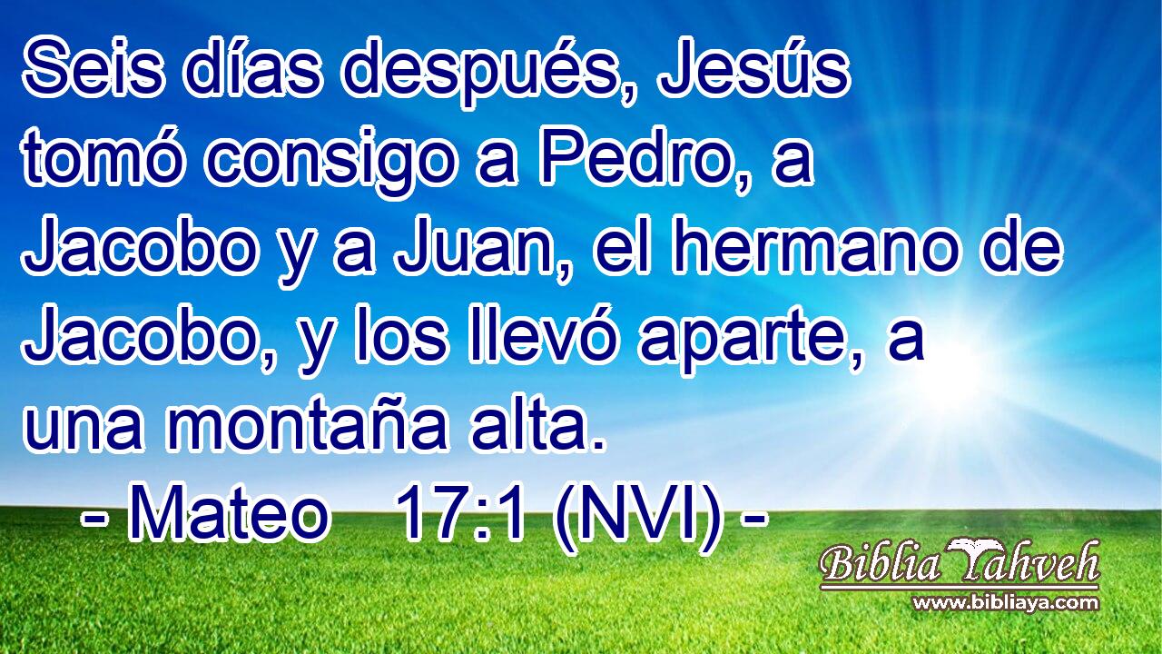 Seis días después, Jesús tomó consigo a Pedro, a Jacobo y a Juan, el hermano de Jacobo, y los llevó aparte, a una montaña alta. 