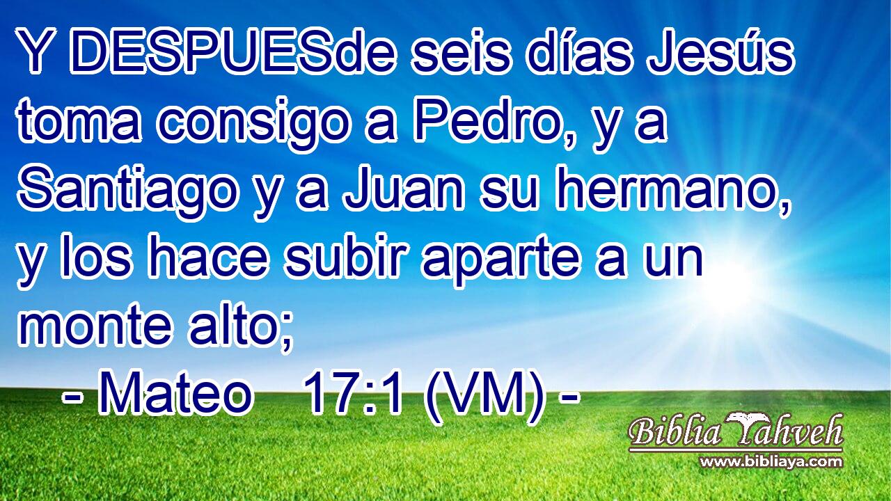  Y DESPUESde seis días Jesús toma consigo a Pedro, y a Santiago y a Juan su hermano, y los hace subir aparte a un monte alto; 