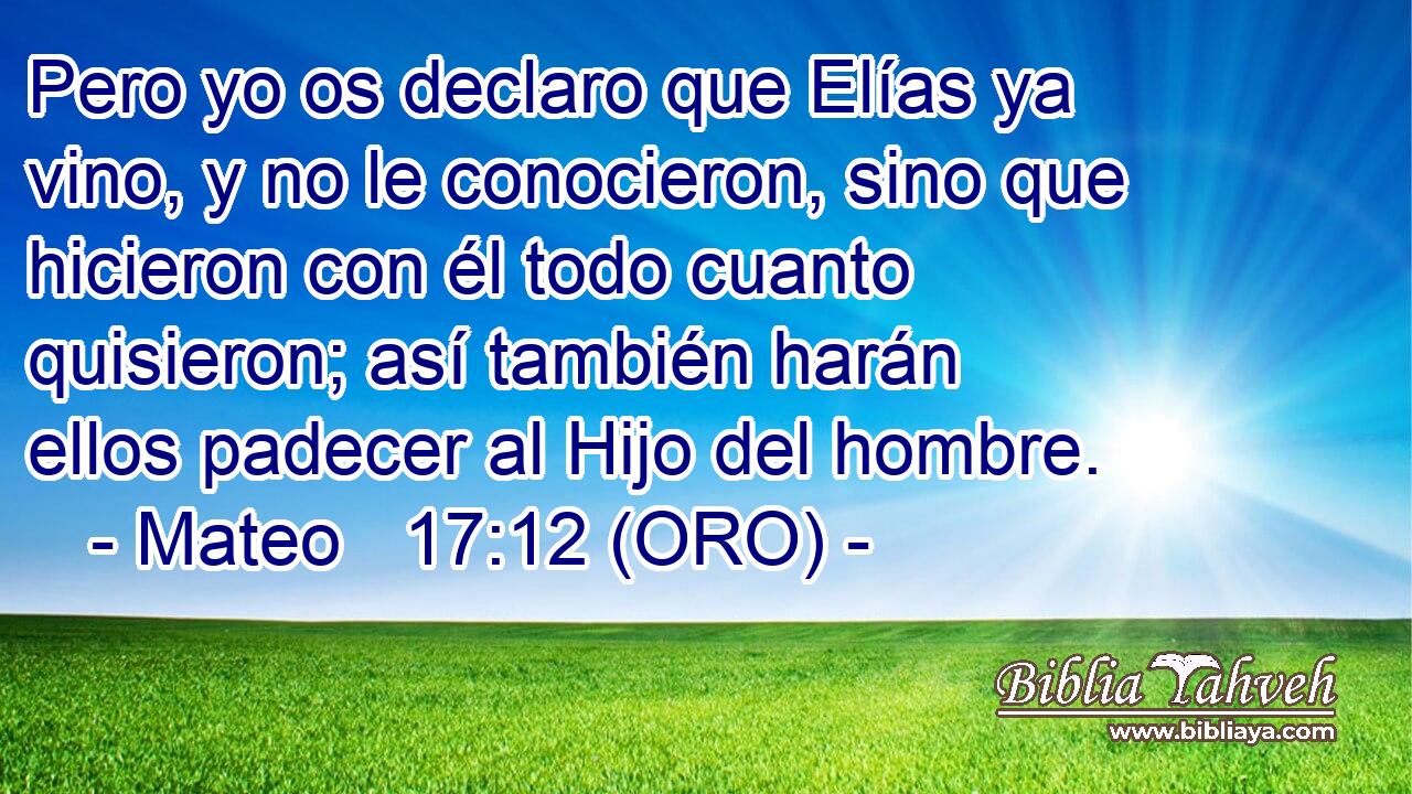  Pero yo os declaro que Elías ya vino, y no le conocieron, sino que hicieron con él todo cuanto quisieron; así también harán ellos padecer al Hijo del hombre. 