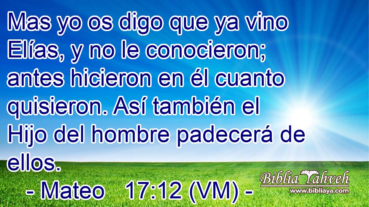  Mas yo os digo que ya vino Elías, y no le conocieron; antes hicieron en él cuanto quisieron. Así también el Hijo del hombre padecerá de ellos. 