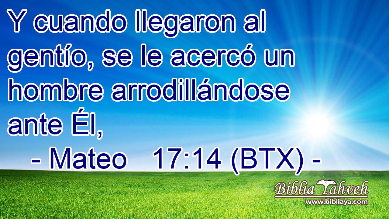 Y cuando llegaron al gentío, se le acercó un hombre arrodillándose ante Él,