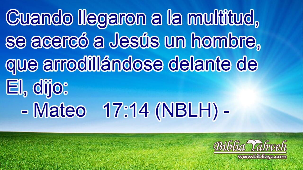  Cuando llegaron a la multitud, se acercó a Jesús un hombre, que arrodillándose delante de El, dijo: 