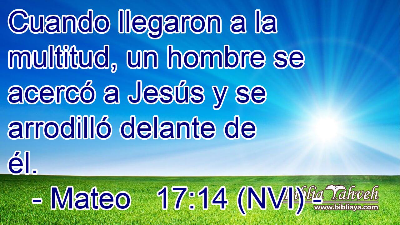  Cuando llegaron a la multitud, un hombre se acercó a Jesús y se arrodilló delante de él. 