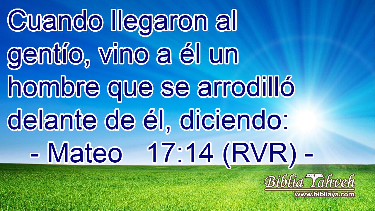 Cuando llegaron al gentío, vino a él un hombre que se arrodilló delante de él, diciendo: