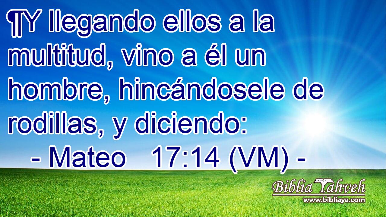  ¶Y llegando ellos a la multitud, vino a él un hombre, hincándosele de rodillas, y diciendo: 