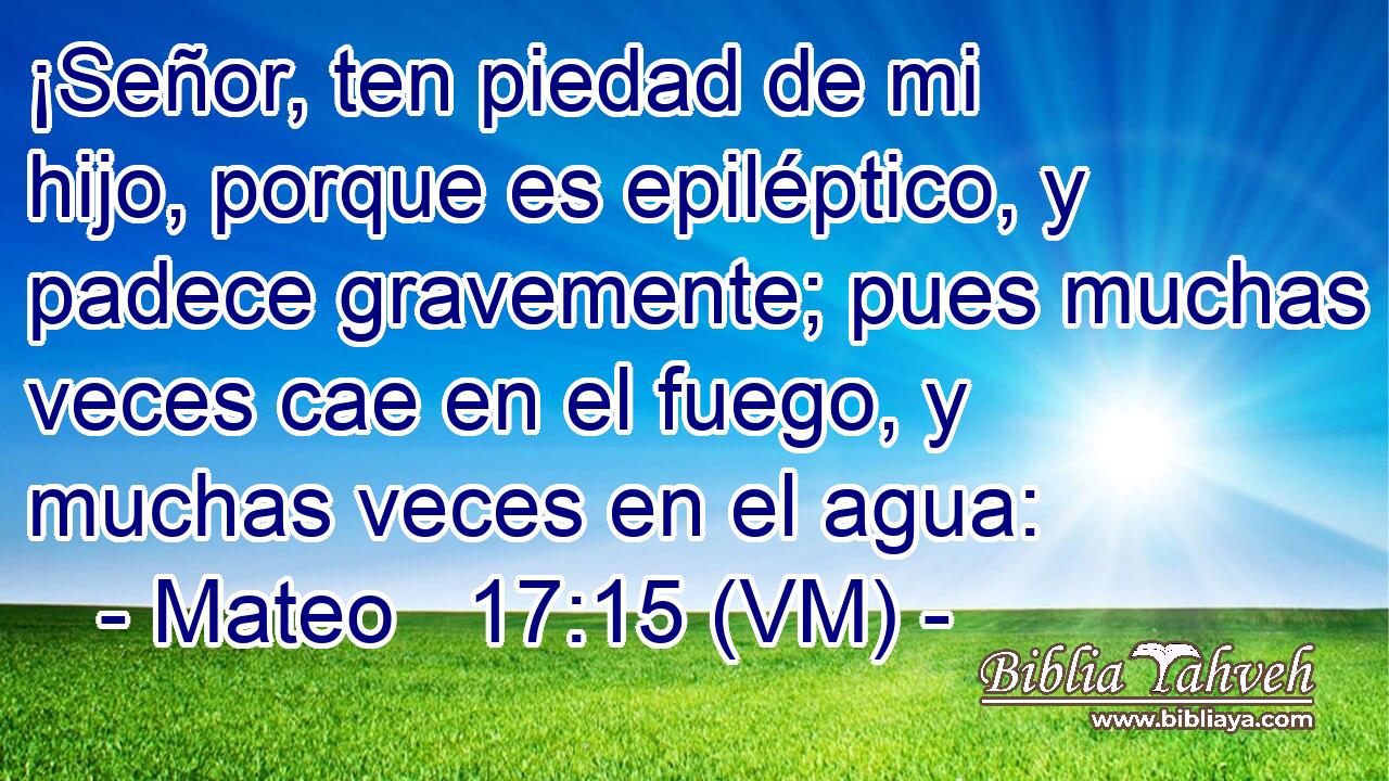  ¡Señor, ten piedad de mi hijo, porque es epiléptico, y padece gravemente; pues muchas veces cae en el fuego, y muchas veces en el agua: 