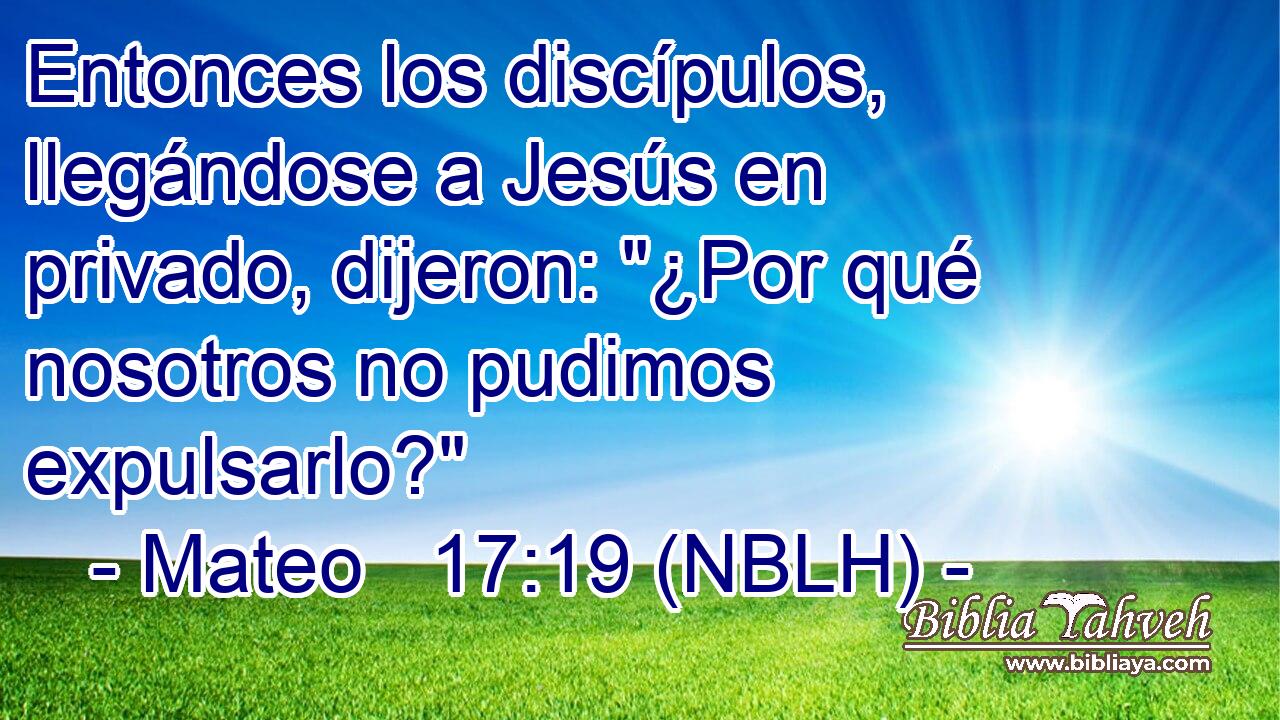  Entonces los discípulos, llegándose a Jesús en privado, dijeron: 