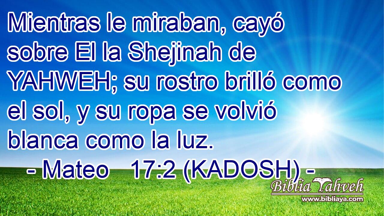  Mientras le miraban, cayó sobre El la Shejinah de YAHWEH; su rostro brilló como el sol, y su ropa se volvió blanca como la luz. 