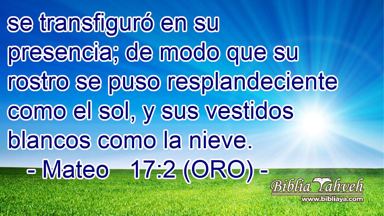  se transfiguró en su presencia; de modo que su rostro se puso resplandeciente como el sol, y sus vestidos blancos como la nieve. 