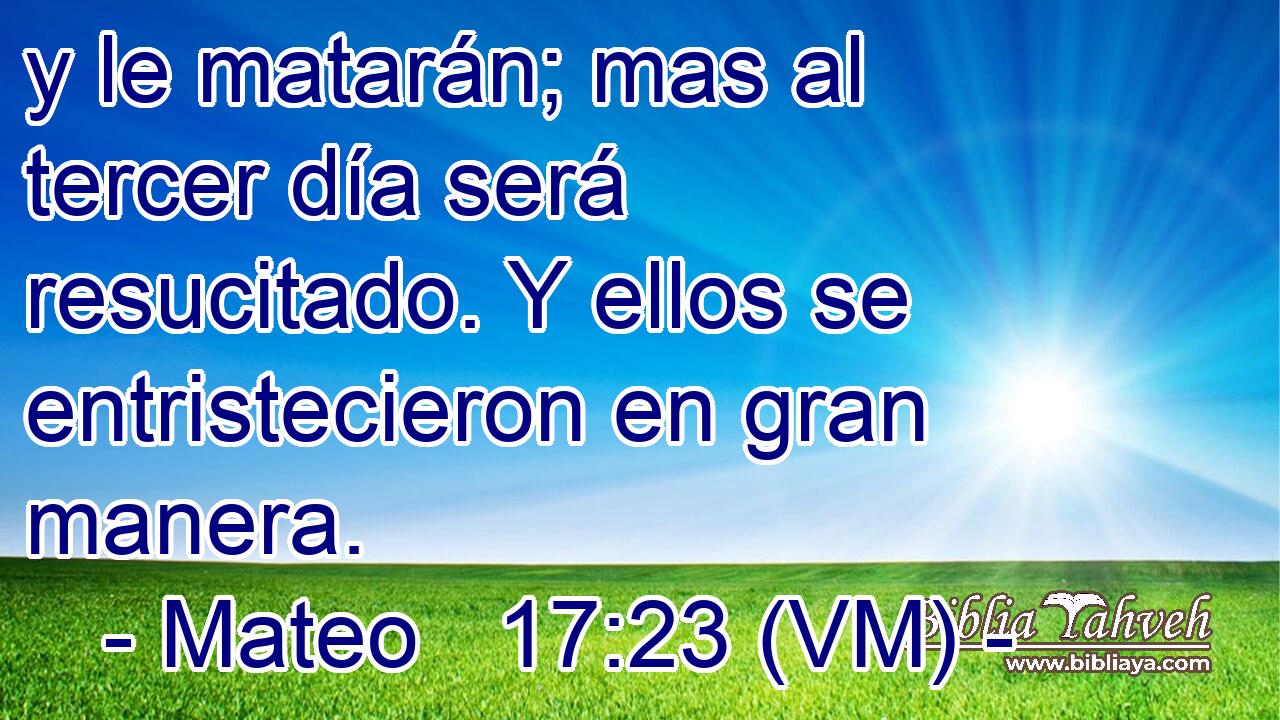  y le matarán; mas al tercer día será resucitado. Y ellos se entristecieron en gran manera. 