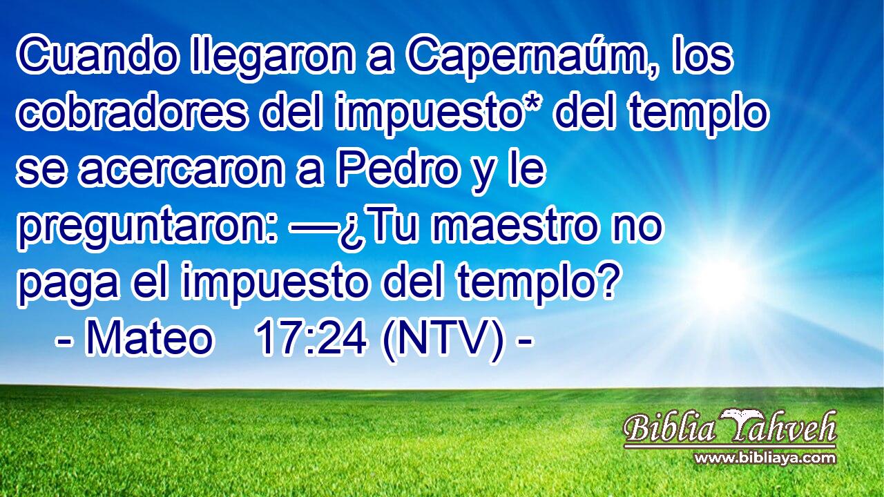Cuando llegaron a Capernaúm, los cobradores del impuesto* del templo se acercaron a Pedro y le preguntaron: —¿Tu maestro no paga el impuesto del templo?