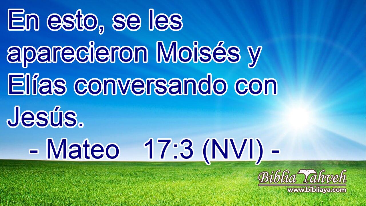  En esto, se les aparecieron Moisés y Elías conversando con Jesús. 