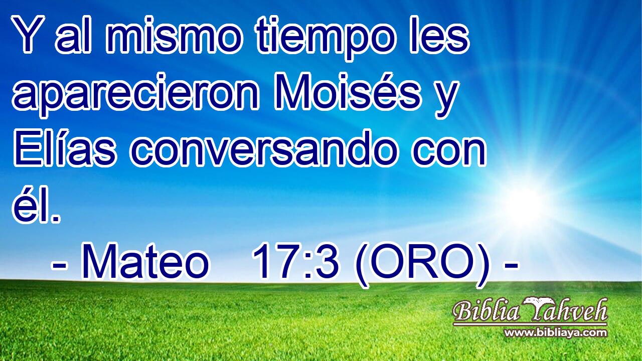  Y al mismo tiempo les aparecieron Moisés y Elías conversando con él. 