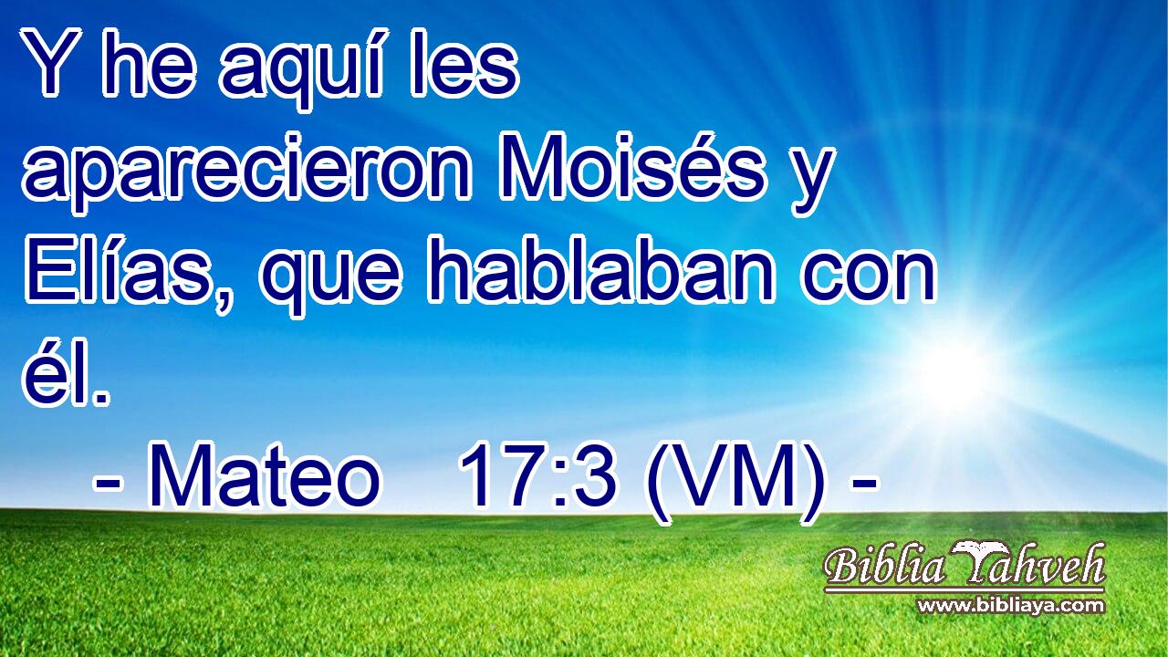  Y he aquí les aparecieron Moisés y Elías, que hablaban con él. 