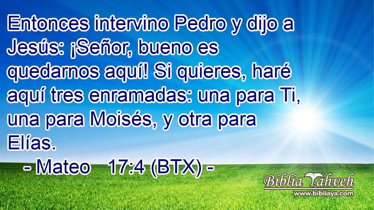 Entonces intervino Pedro y dijo a Jesús: ¡Señor, bueno es quedarnos aquí! Si quieres, haré aquí tres enramadas: una para Ti, una para Moisés, y otra para Elías.