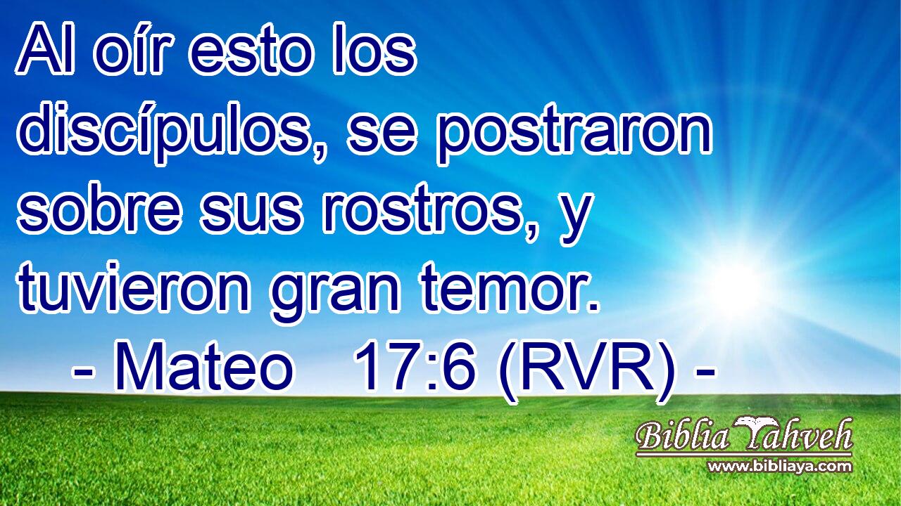 Al oír esto los discípulos, se postraron sobre sus rostros, y tuvieron gran temor.