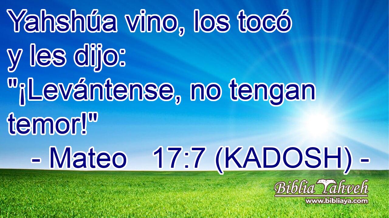  Yahshúa vino, los tocó y les dijo: 