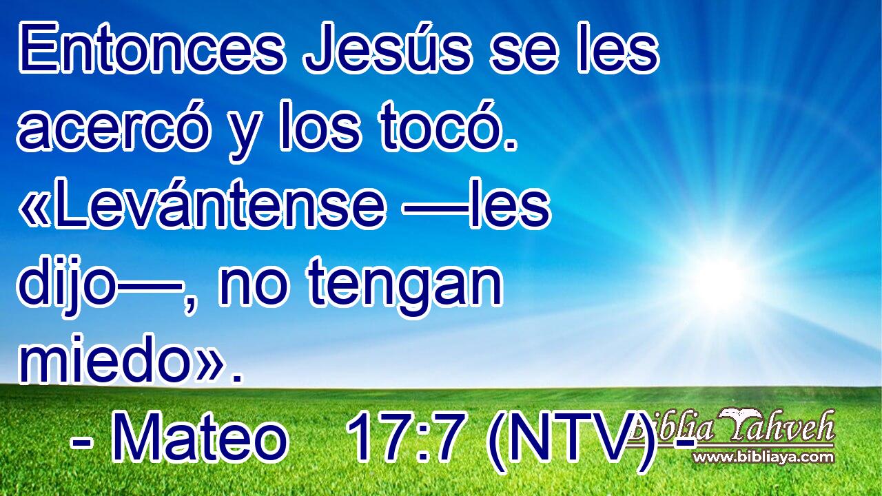 Entonces Jesús se les acercó y los tocó. «Levántense —les dijo—, no tengan miedo».
