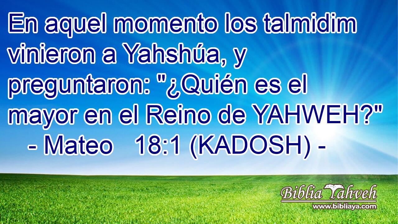  En aquel momento los talmidim vinieron a Yahshúa, y preguntaron: 