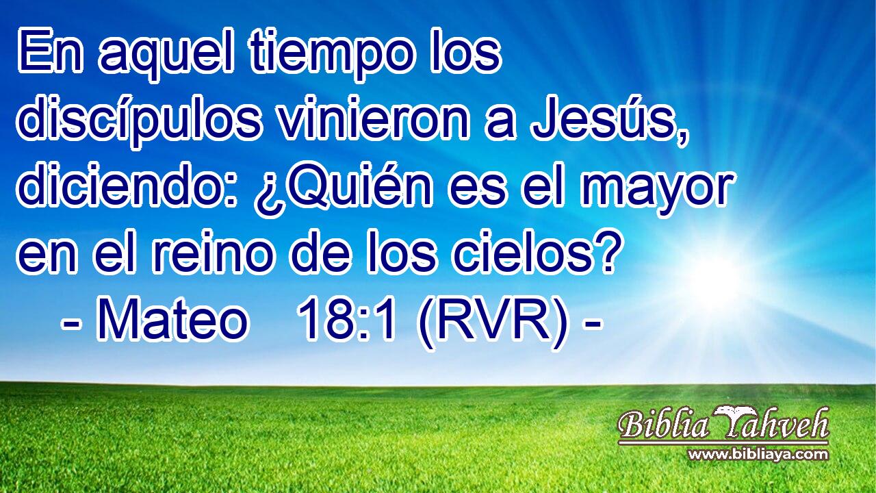 En aquel tiempo los discípulos vinieron a Jesús, diciendo: ¿Quién es el mayor en el reino de los cielos?