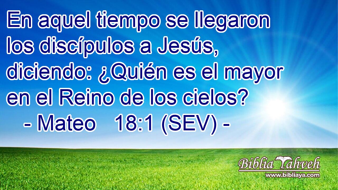 En aquel tiempo se llegaron los discípulos a Jesús, diciendo: ¿Quién es el mayor en el Reino de los cielos?