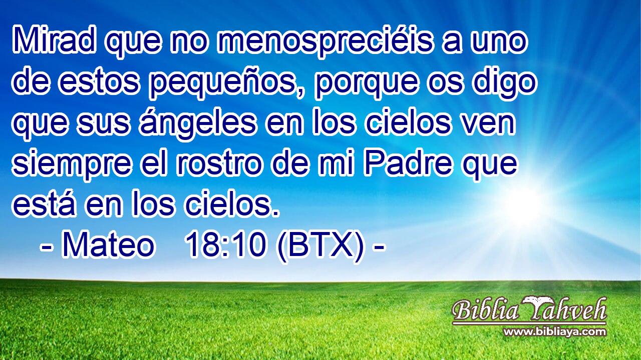 Mirad que no menospreciéis a uno de estos pequeños, porque os digo que sus ángeles en los cielos ven siempre el rostro de mi Padre que está en los cielos.