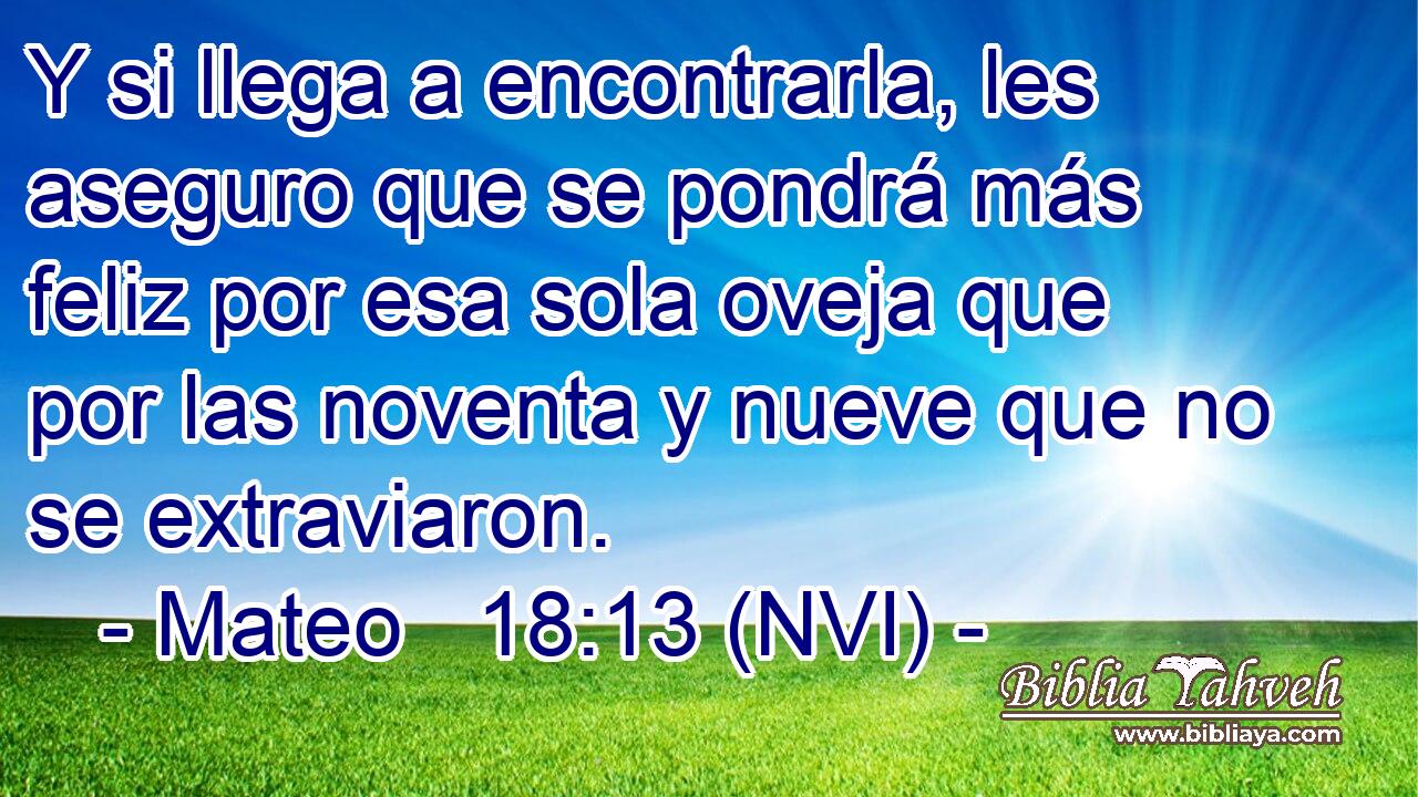  Y si llega a encontrarla, les aseguro que se pondrá más feliz por esa sola oveja que por las noventa y nueve que no se extraviaron. 