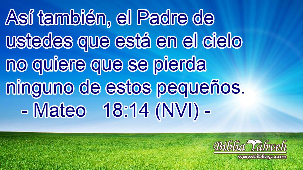  Así también, el Padre de ustedes que está en el cielo no quiere que se pierda ninguno de estos pequeños. 