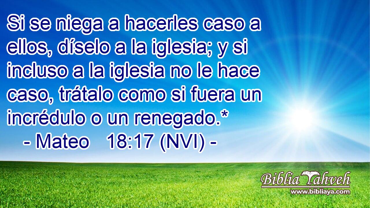  Si se niega a hacerles caso a ellos, díselo a la iglesia; y si incluso a la iglesia no le hace caso, trátalo como si fuera un incrédulo o un renegado.* 