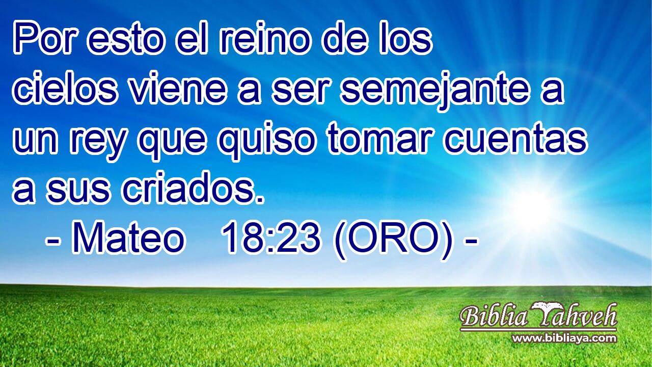  Por esto el reino de los cielos viene a ser semejante a un rey que quiso tomar cuentas a sus criados. 