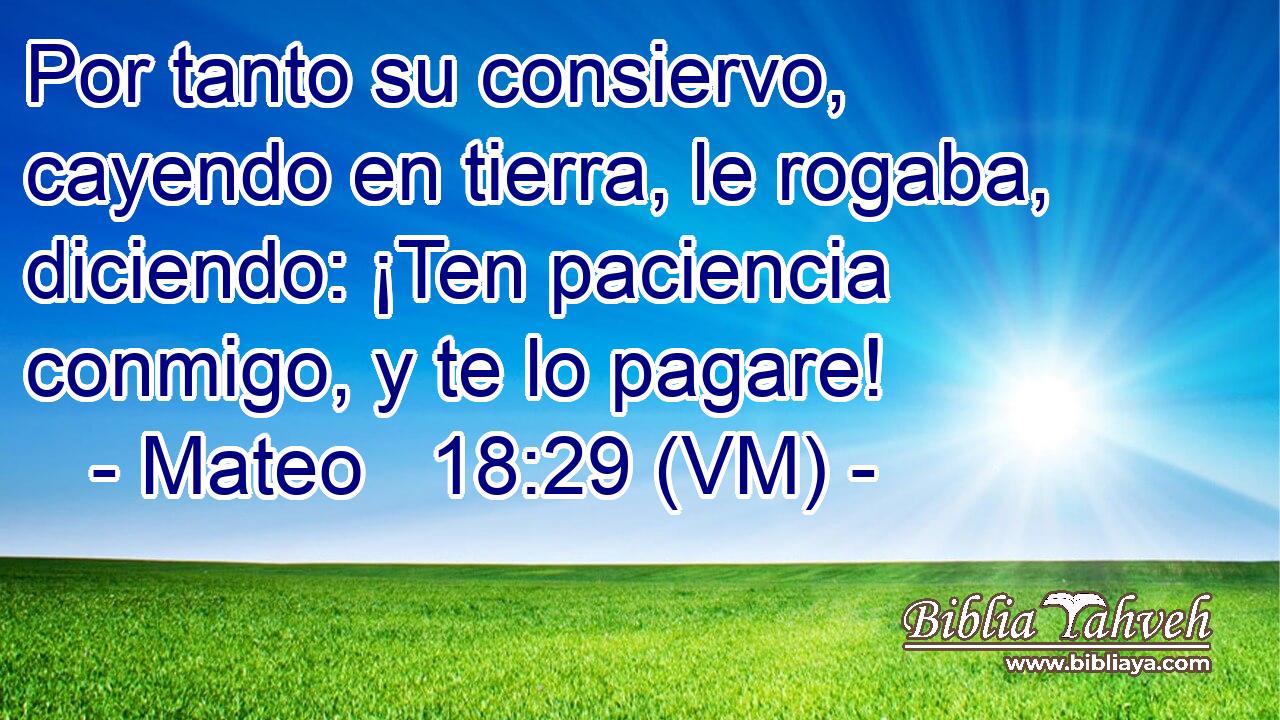  Por tanto su consiervo, cayendo en tierra, le rogaba, diciendo: ¡Ten paciencia conmigo, y te lo pagare! 