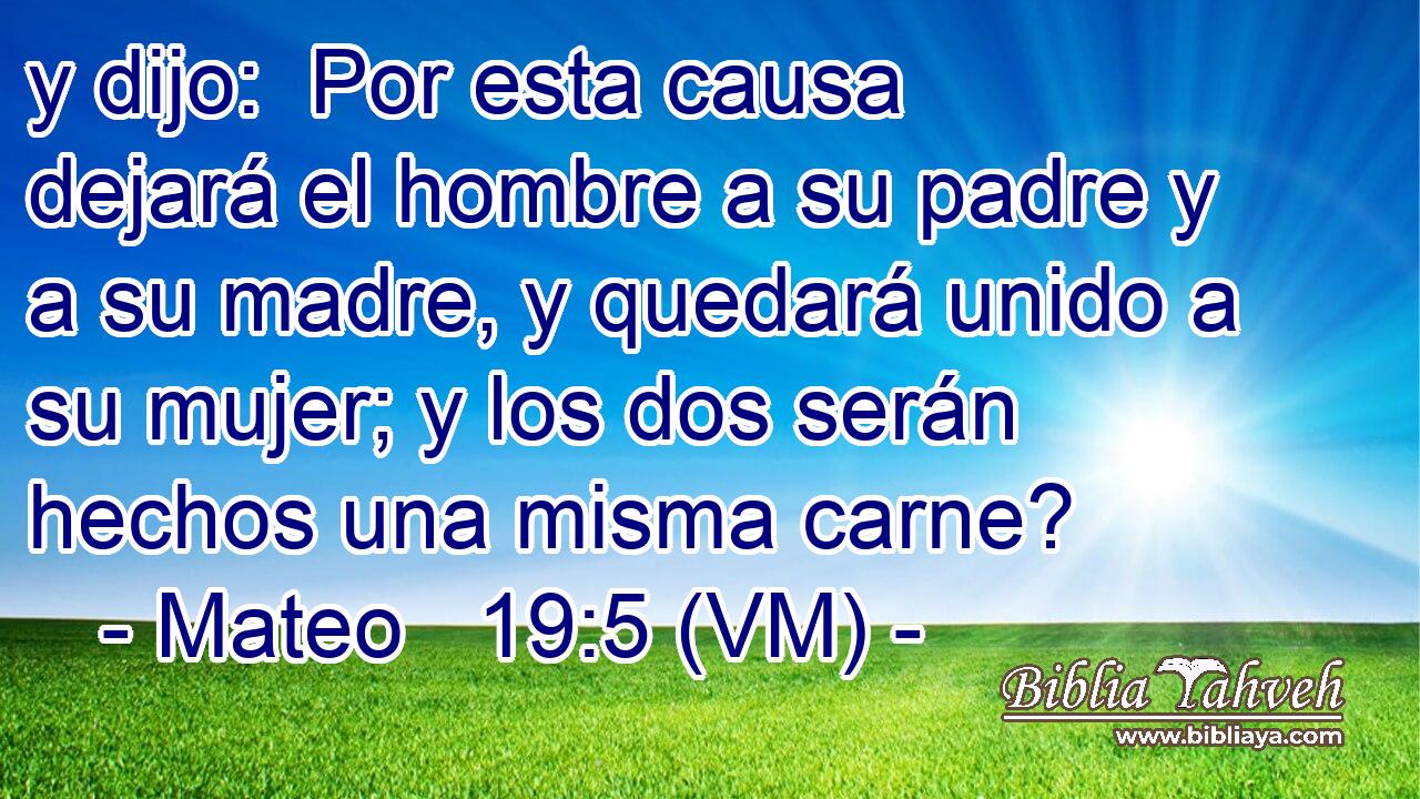  y dijo:  Por esta causa dejará el hombre a su padre y a su madre, y quedará unido a su mujer; y los dos serán hechos una misma carne? 