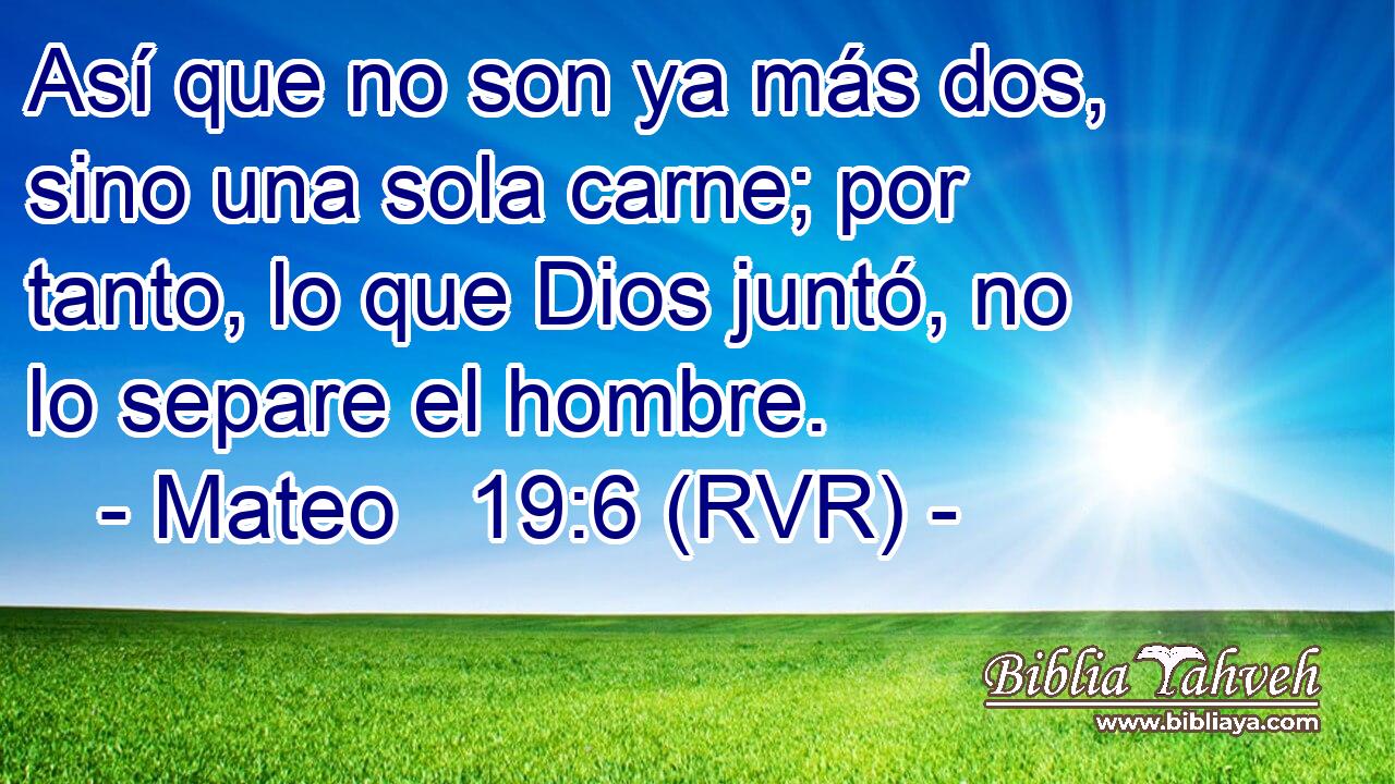 Así que no son ya más dos, sino una sola carne; por tanto, lo que Dios juntó, no lo separe el hombre.