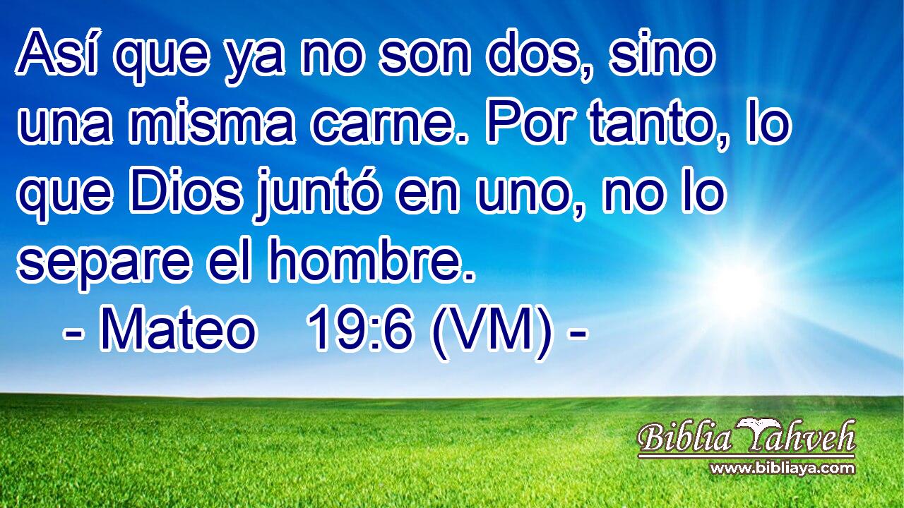  Así que ya no son dos, sino una misma carne. Por tanto, lo que Dios juntó en uno, no lo separe el hombre. 