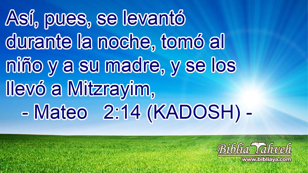  Así, pues, se levantó durante la noche, tomó al niño y a su madre, y se los llevó a Mitzrayim, 