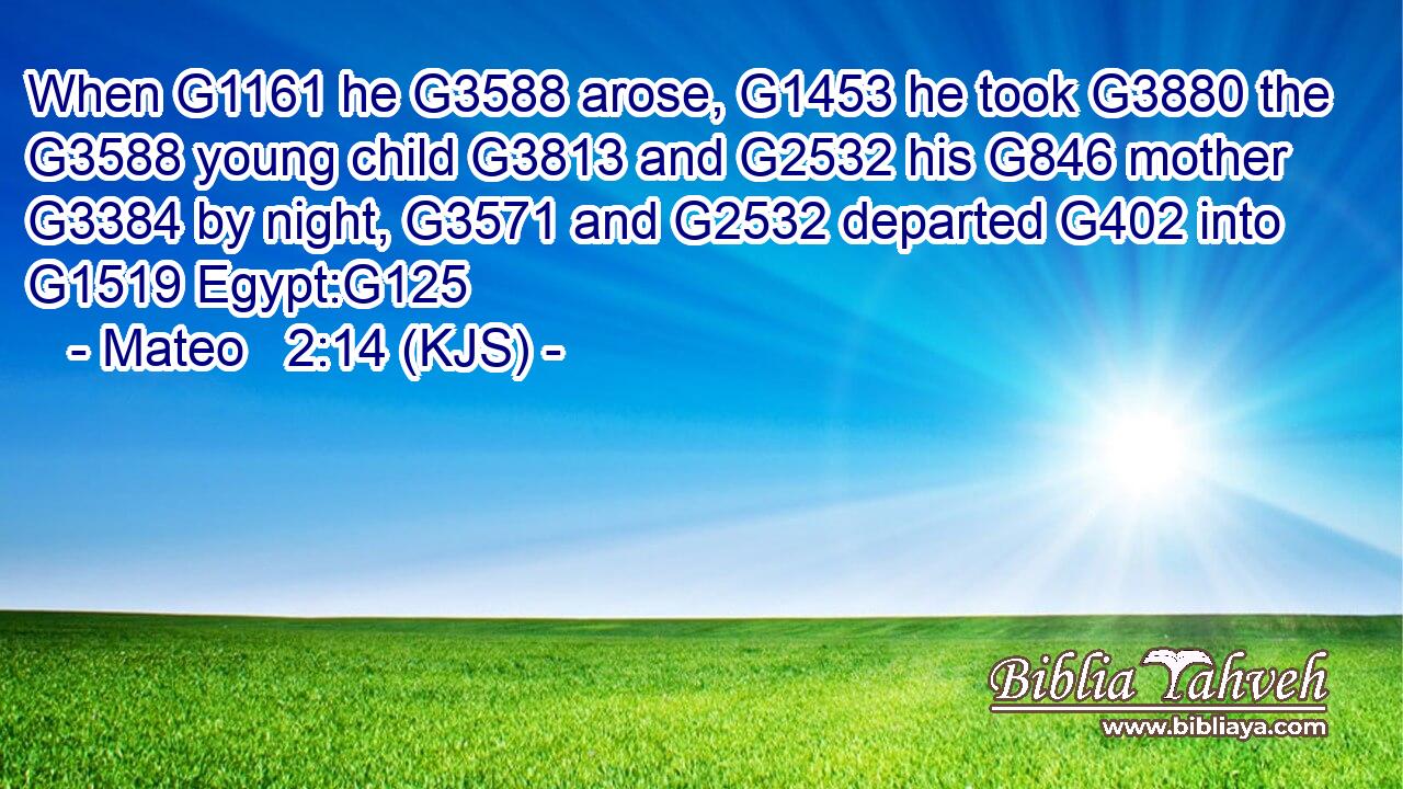 When G1161 he G3588 arose, G1453 he took G3880 the G3588 young child G3813 and G2532 his G846 mother G3384 by night, G3571 and G2532 departed G402 into G1519 Egypt:G125